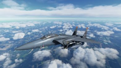 إضافة طائرة F-15 Eagle قادمة إلى Microsoft Flight Simulator