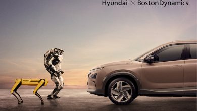 Hyundai & BD